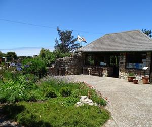 Opening Monday, 3 August 2020