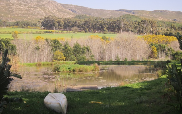 Little_Dam_1596197355