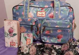 Proteas are in bloom at JOY! 