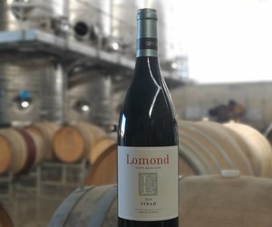 Shiraz SA Top 12 Winner!