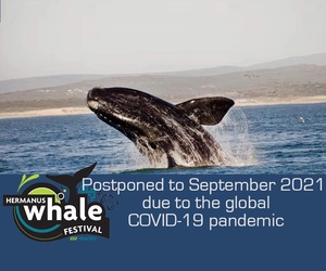 The 2020 Hermanus Whale Festival Postponed