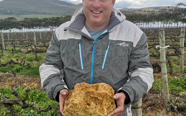 116901001_4167001333341123_1052726708156305874_o_1596783785