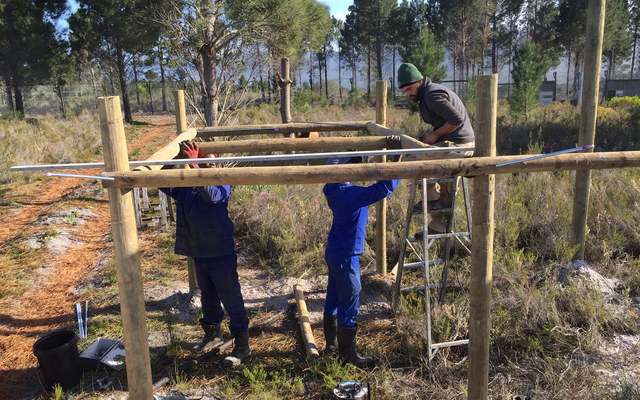 117442686_3342554679162767_5371615819270745619_o_1597131010