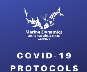 COVID-19: PROTOCOLS