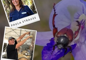 Wine & Wildlife - Insects & White Blends - 13 August 2020