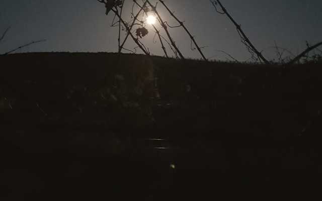 WhatsApp_Image_2020_08_13_at_15.20.17_1597383801