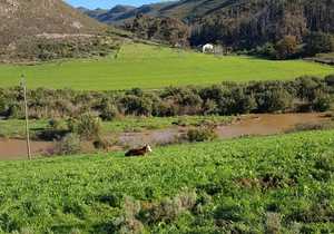 News from Raka Wines