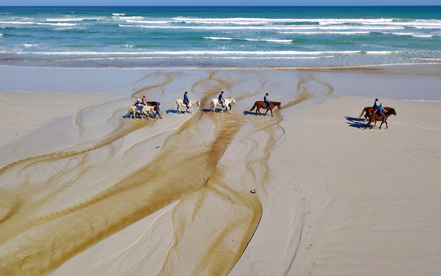 Gansbaai & Pearly Beach Horse Trails