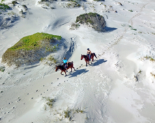 TripAdvisor, Travelers Choice Award