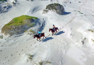 TripAdvisor, Travelers Choice Award