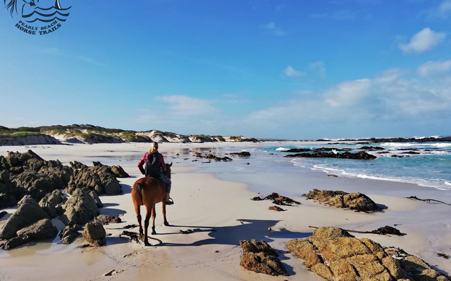 Gansbaai & Pearly Beach Horse Trails