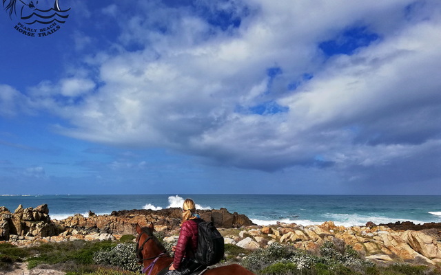 Gansbaai & Pearly Beach Horse Trails