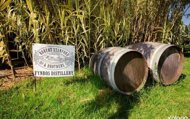 Fynbos_distillery_377_1512475542_1561973578_1598267951