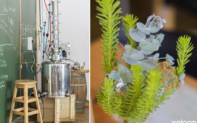 stanford_restaurants_jolly_rooster_distellery_1555567362_1598267950