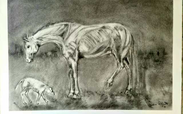 WhatsApp_Image_2020_08_26_at_07.00.35_1598420426