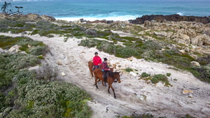 The Breede, Berg & Between, by Bike, Boat & Boot. (and Beast)