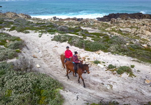 The Breede, Berg & Between, by Bike, Boat & Boot. (and Beast)