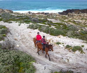 The Breede, Berg & Between, by Bike, Boat & Boot. (and Beast)