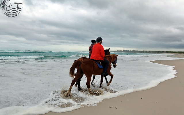Gansbaai & Pearly Beach Horse Trails