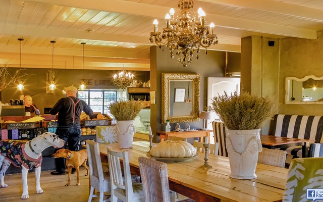 117893061_3147628078619999_825056062372091977_o_1598524941 117893061_3147628078619999_825056062372091977_o_1598524941