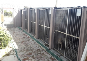 The cost of running BARC