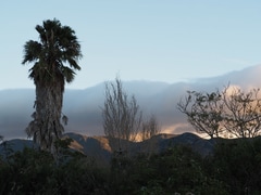 Studio spot in the heart of Stanford