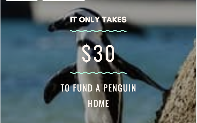 118801022_10158645615362520_6970387648371458675_n_1599203825