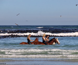 Spring Special on our Premium Beach Trail