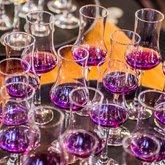 Sir Robert Stanford’s Heritage Show - Jolly Rooster - Stanford