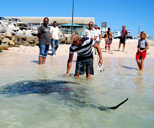 Cape Agulhas Tourism Competition Week 3