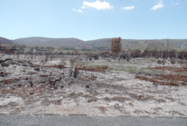 735 m² Vacant Land For Sale In Franskraal