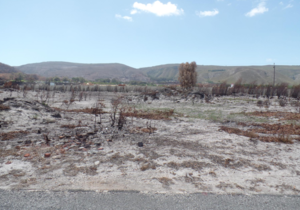 735 m² Vacant Land For Sale In Franskraal