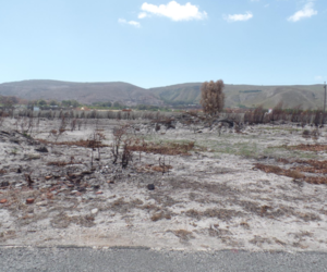 735 m² Vacant Land For Sale In Franskraal