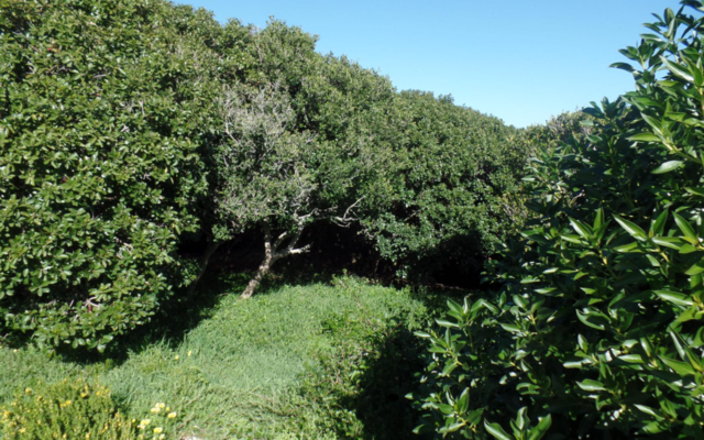 595_vacant_land_in_franskraal_1600150070