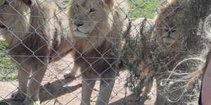 WhatsApp_Image_2020_09_18_at_16.42.50_1600673545