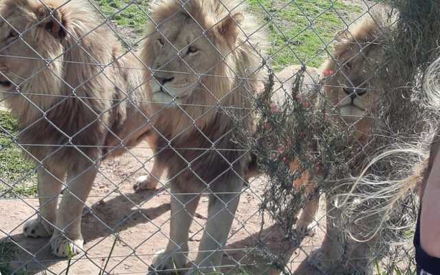 WhatsApp_Image_2020_09_18_at_16.42.50_1600673545