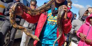 WhatsApp_Image_2020_09_18_at_16.45.22_1600673544