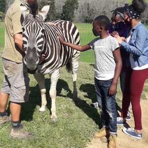 WhatsApp_Image_2020_09_18_at_16.46.25_1600673543