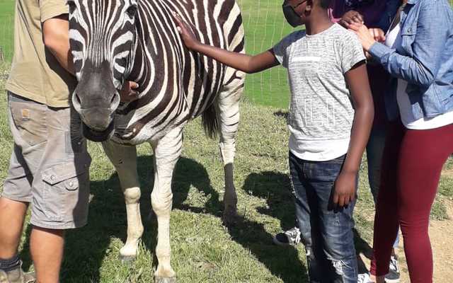 WhatsApp_Image_2020_09_18_at_16.46.25_1600673543