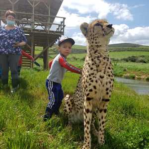 WhatsApp_Image_2020_09_18_at_16.48.03_2_1600673543