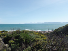 535 m² Residential Vacant Land For Sale In Gansbaai - R1,690,000