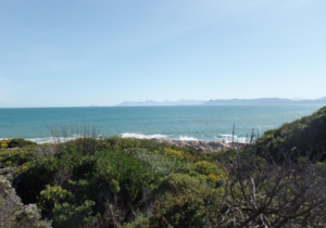 535 m² Residential Vacant Land For Sale In Gansbaai - R1,690,000