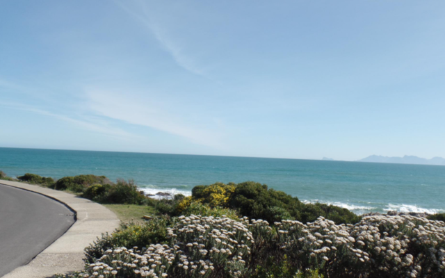 pam_property_1600770031