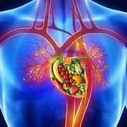 The Most Important Nutrients for Heart Health