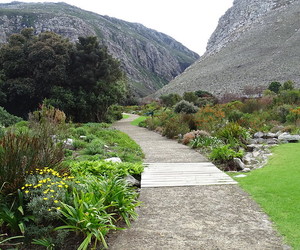 Thursday Talks at Harold Porter