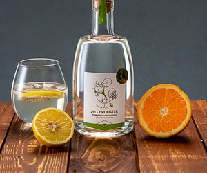 Citrus Bomb Infuses Gin (43% Vol.)
