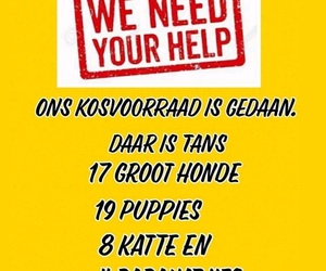 BARC Urgently Needs Pet Food