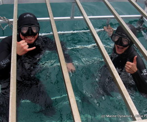 Daily Blog 05 October 2020 | Shark Cage Diving in South Africa