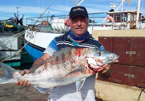 Fishing around Gansbaai with Oubaas Lesch - Eco-friendly Fisherman