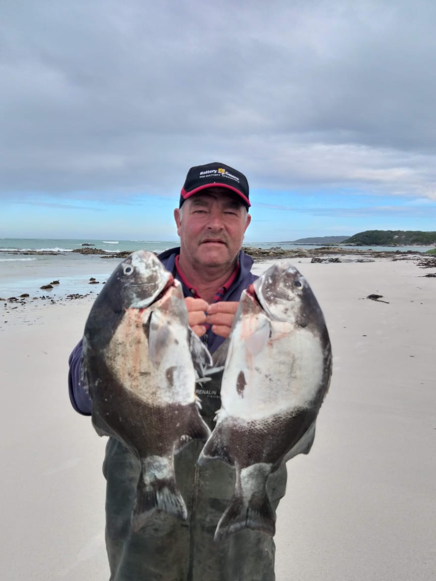 South Africa's National Fish Galjoen are mostly found around rocks